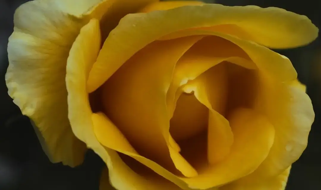 J. Rowe Photography website screenshot